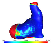 The image shows the reconstruction error when applying a model mesh to a new surface representation of an ear canal using a nearest neighbour projection method.