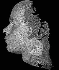3D face scan.