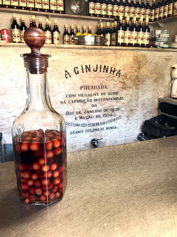 Image ginjin8