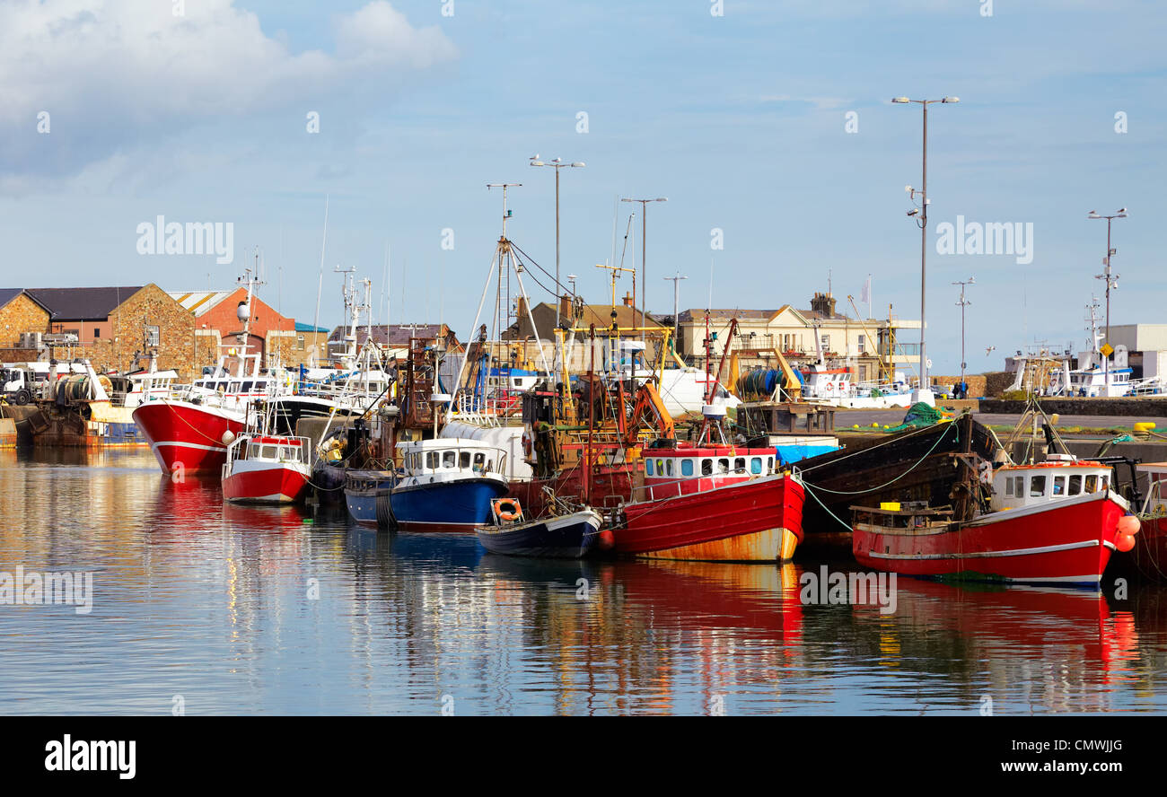 Image howth4