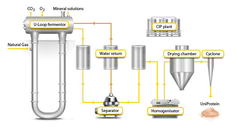 SCP Plant ULoop Reactor